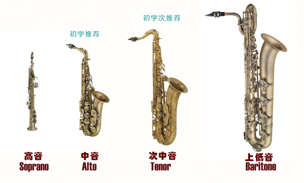 1598965826507587.jpg zhonglei.jpg