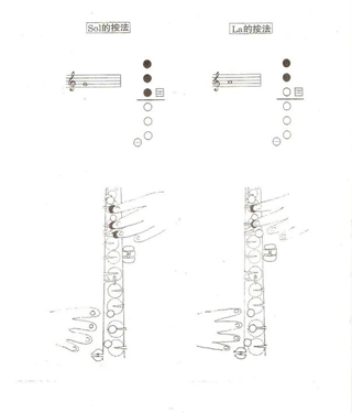 1602592663617908.jpg 1602592663617908.jpg